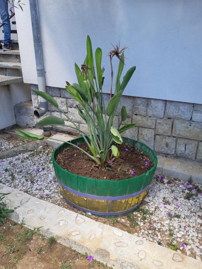 Apartman Vede Bacina Екстер'єр фото